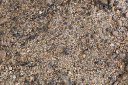 rain garden mix product image