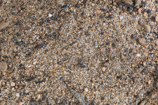 rain garden mix product image