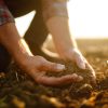 man lifting topsoil from the ground
