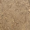 close up image of soil that is a blend of fine soil and large organic material
