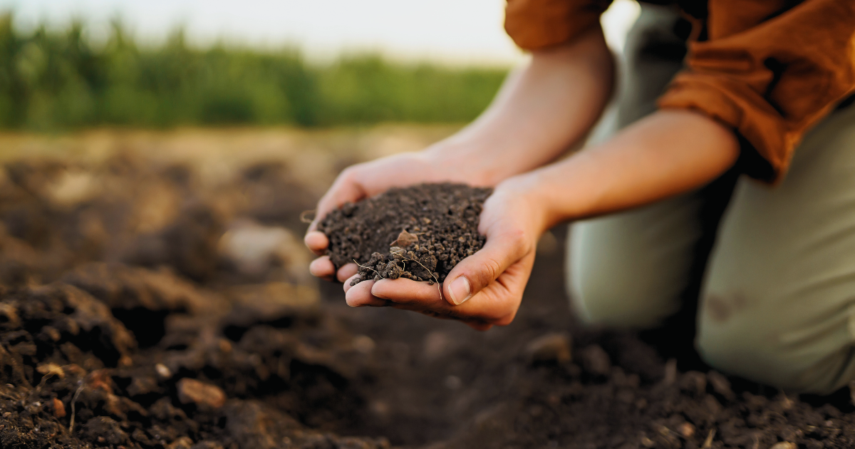 woman holding and showing healthy soil in her hands