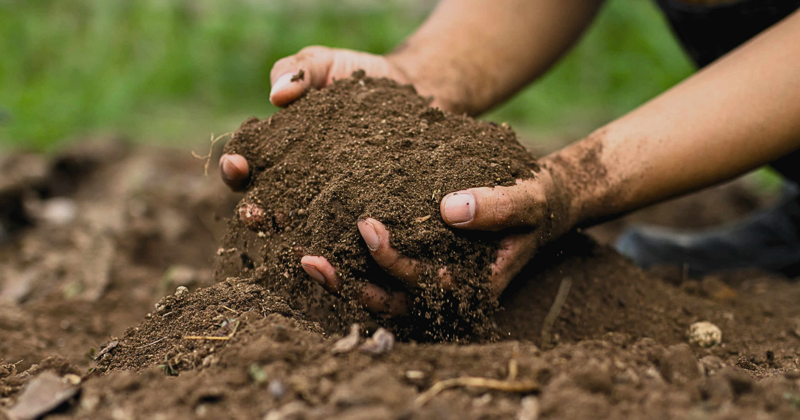 topsoil-vs-garden-soil